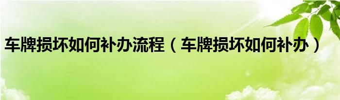 车牌损坏如何补办流程（车牌损坏如何补办）