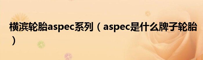 横滨轮胎aspec系列（aspec是什么牌子轮胎）