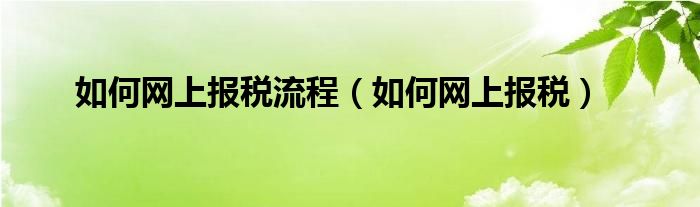 如何网上报税流程（如何网上报税）