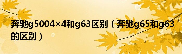 奔驰g5004×4和g63区别（奔驰g65和g63的区别）