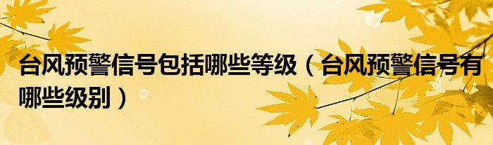 台风预警信号包括哪些等级（台风预警信号有哪些级别）