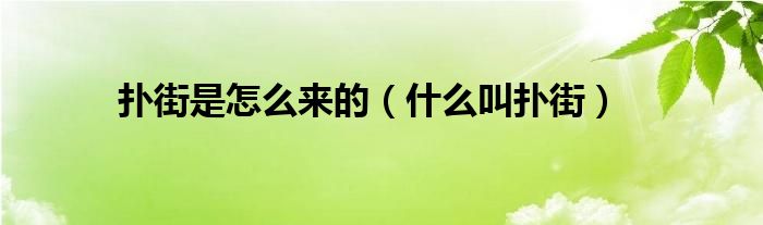 扑街是怎么来的（什么叫扑街）