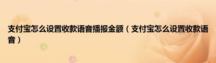 支付宝怎么设置收款语音播报金额（支付宝怎么设置收款语音）