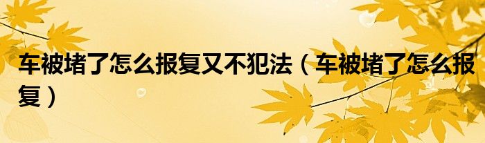 车被堵了怎么报复又不犯法（车被堵了怎么报复）