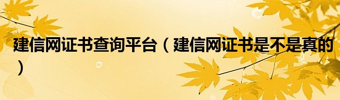 建信网证书查询平台（建信网证书是不是真的）