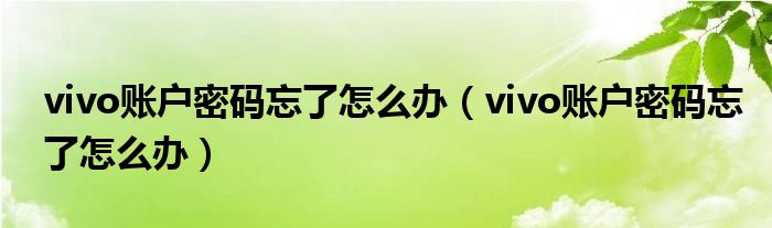 vivo账户密码忘了怎么办（vivo账户密码忘了怎么办）