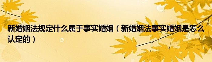 新婚姻法规定什么属于事实婚姻（新婚姻法事实婚姻是怎么认定的）