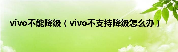 vivo不能降级（vivo不支持降级怎么办）