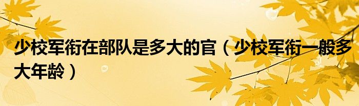 少校军衔在部队是多大的官（少校军衔一般多大年龄）