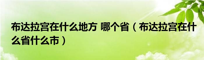 布达拉宫在什么地方 哪个省（布达拉宫在什么省什么市）