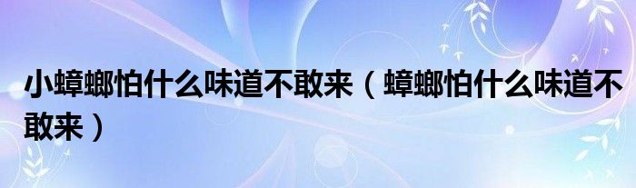 小蟑螂怕什么味道不敢来（蟑螂怕什么味道不敢来）