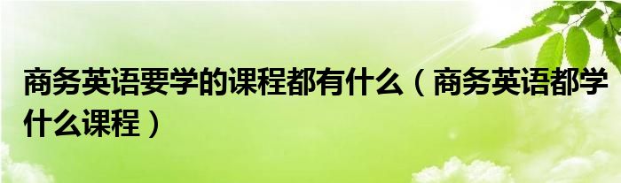 商务英语要学的课程都有什么（商务英语都学什么课程）