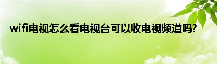 wifi电视怎么看电视台可以收电视频道吗?