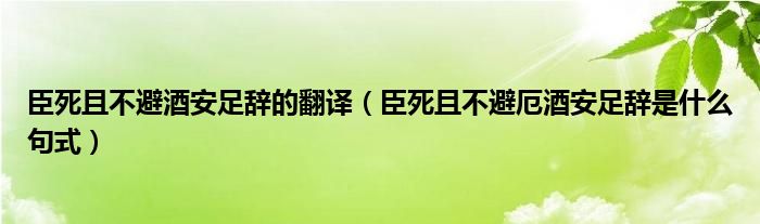 臣死且不避酒安足辞的翻译（臣死且不避厄酒安足辞是什么句式）