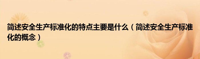 简述安全生产标准化的特点主要是什么（简述安全生产标准化的概念）