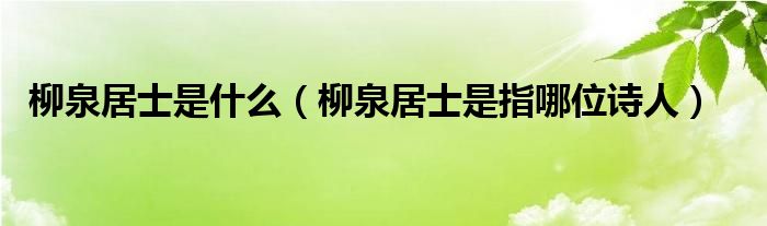 柳泉居士是什么（柳泉居士是指哪位诗人）