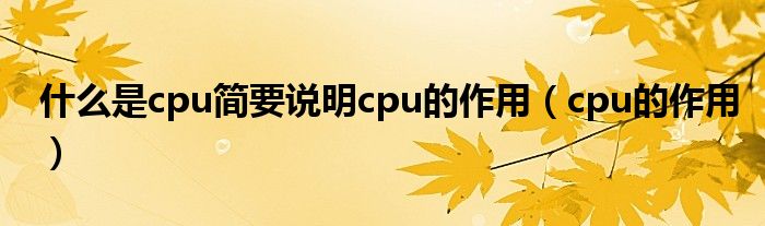 什么是cpu简要说明cpu的作用（cpu的作用）