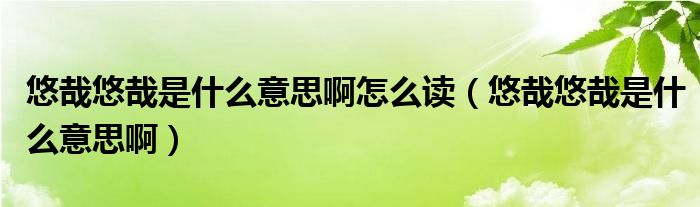 悠哉悠哉是什么意思啊怎么读（悠哉悠哉是什么意思啊）