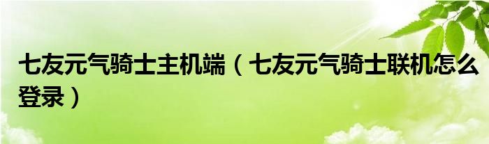 七友元气骑士主机端（七友元气骑士联机怎么登录）