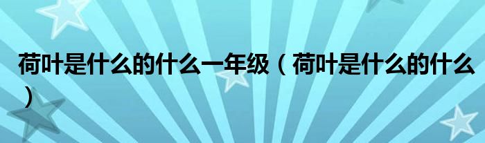 荷叶是什么的什么一年级（荷叶是什么的什么）