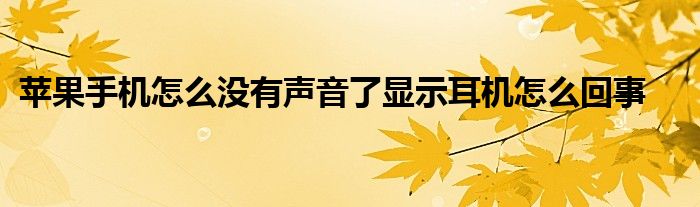 苹果手机怎么没有声音了显示耳机怎么回事