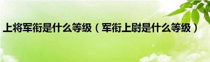 上将军衔是什么等级（军衔上尉是什么等级）