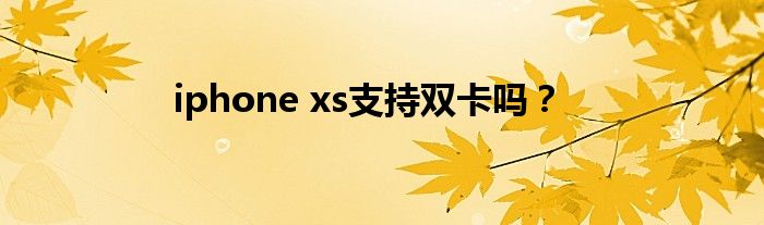 iphone xs支持双卡吗？