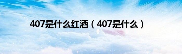 407是什么红酒（407是什么）