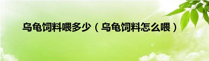 乌龟饲料喂多少（乌龟饲料怎么喂）