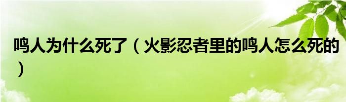 鸣人为什么死了（火影忍者里的鸣人怎么死的）