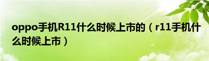 oppo手机R11什么时候上市的（r11手机什么时候上市）