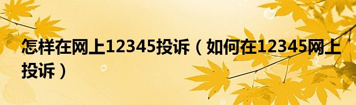 怎样在网上12345投诉（如何在12345网上投诉）