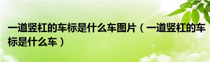 一道竖杠的车标是什么车图片（一道竖杠的车标是什么车）