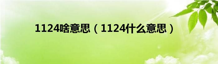 1124啥意思（1124什么意思）