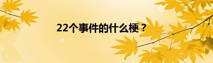 22个事件的什么梗？