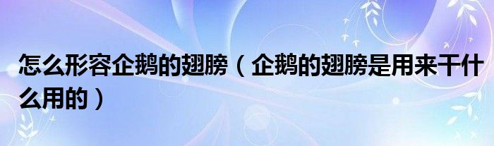 怎么形容企鹅的翅膀（企鹅的翅膀是用来干什么用的）