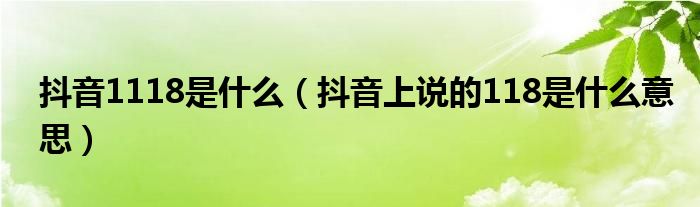 抖音1118是什么（抖音上说的118是什么意思）