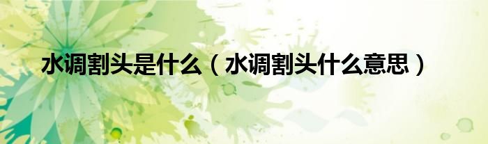 水调割头是什么（水调割头什么意思）