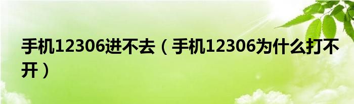 手机12306进不去（手机12306为什么打不开）