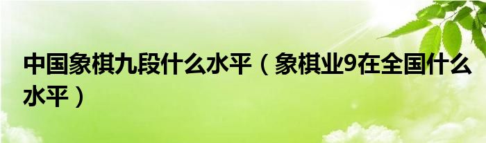 中国象棋九段什么水平（象棋业9在全国什么水平）