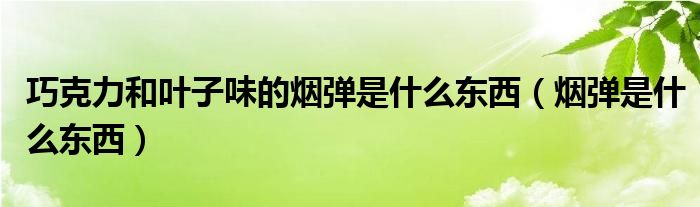 巧克力和叶子味的烟弹是什么东西（烟弹是什么东西）