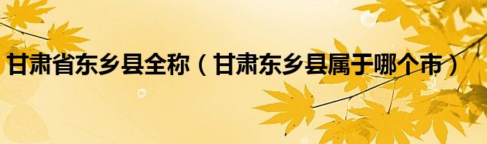 甘肃省东乡县全称（甘肃东乡县属于哪个市）