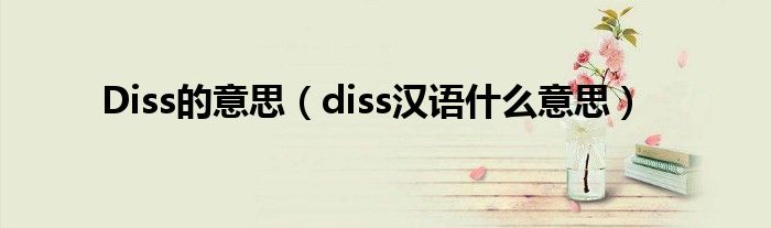 Diss的意思（diss汉语什么意思）