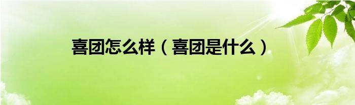 喜团怎么样（喜团是什么）