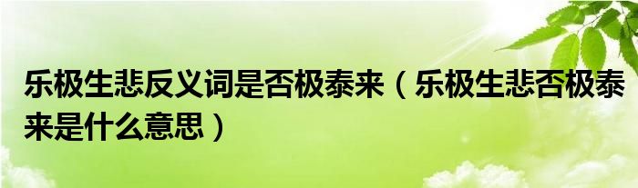 乐极生悲反义词是否极泰来（乐极生悲否极泰来是什么意思）