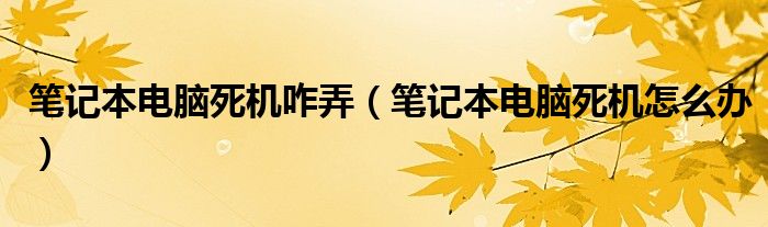 笔记本电脑死机咋弄（笔记本电脑死机怎么办）