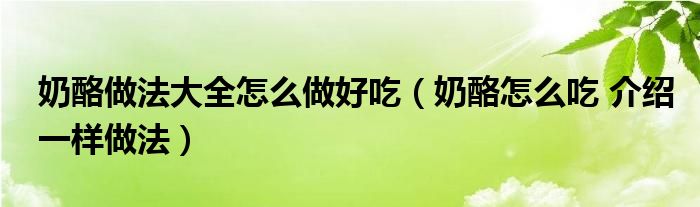 奶酪做法大全怎么做好吃（奶酪怎么吃 介绍一样做法）