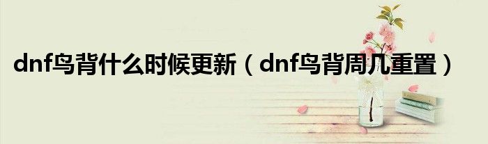 dnf鸟背什么时候更新（dnf鸟背周几重置）