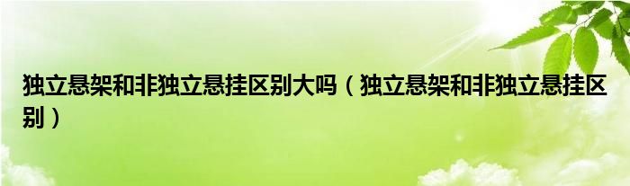 独立悬架和非独立悬挂区别大吗（独立悬架和非独立悬挂区别）