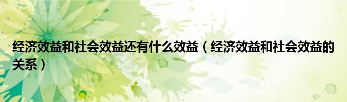 经济效益和社会效益还有什么效益（经济效益和社会效益的关系）